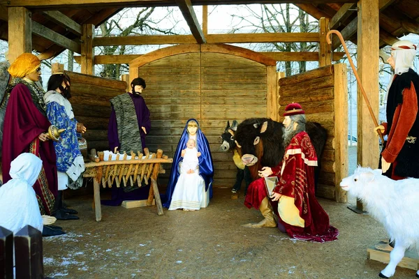 Vilnius Stadt Hauptstadt Litauens Kathedrale Platz Weihnachtsdekoration — Stockfoto