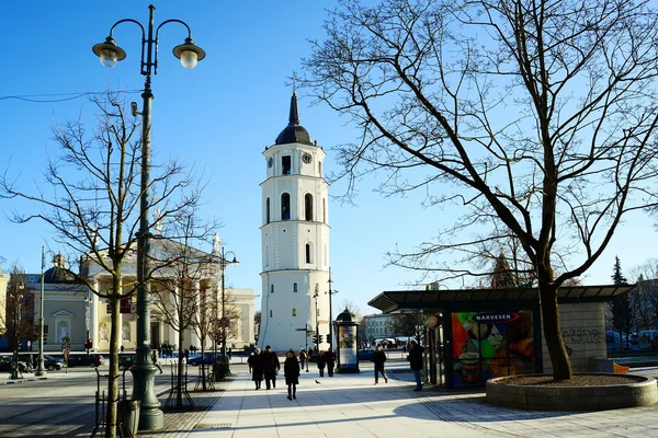 Vilnius stad hoofdstad van Litouwen kathedraal plaats — Stockfoto