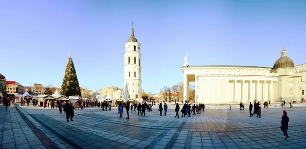 Vilnius capitale de la Lituanie place de la cathédrale — Photo