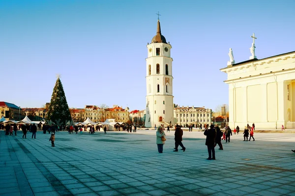 Vilnius city stolicy Litwy Katedra miejsce — Zdjęcie stockowe
