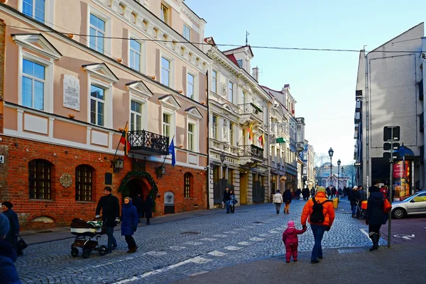 Vilnius şehir sermaye Litvanya Merkezi Görünümü — Stok fotoğraf