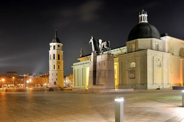 ヴィリニュス大聖堂場所冬の夜の時間 — ストック写真