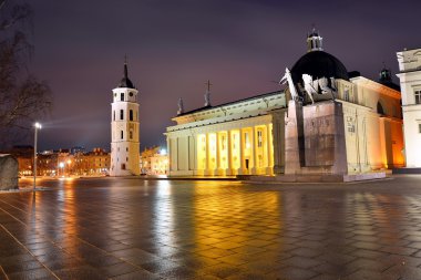Vilnius katedral yer kış sabahı saat