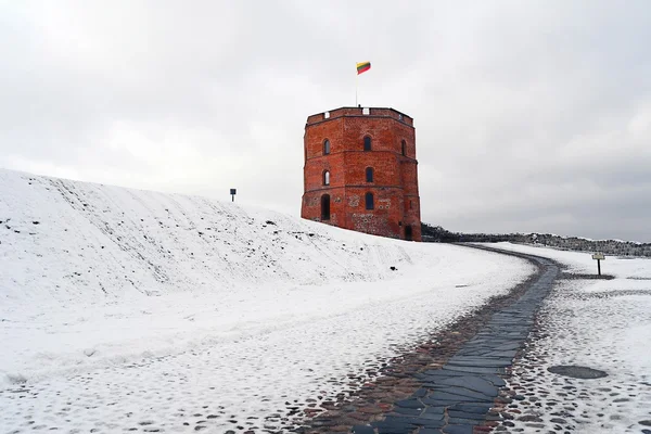 Torre del castello di Gediminas, simbolo della città di Vilnius — Foto Stock