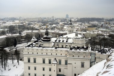 Litvanya Büyük Düklerinin Sarayı 
