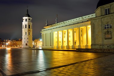 Vilnius katedral yer kış sabahı saat