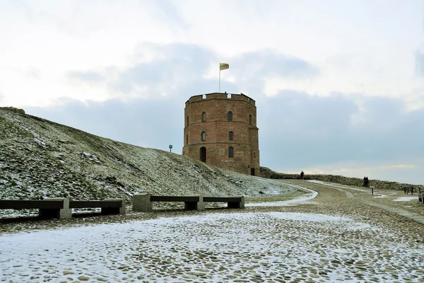 Torre do Castelo de Gediminas na colina em Vilnius Imagens De Bancos De Imagens Sem Royalties