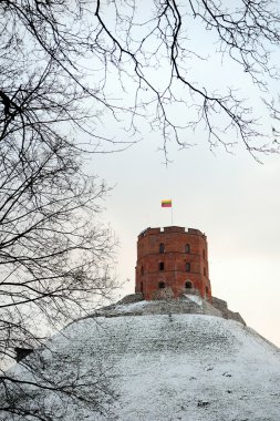 Şafak kule Kalesi, Vilnius şehrinin sembolü