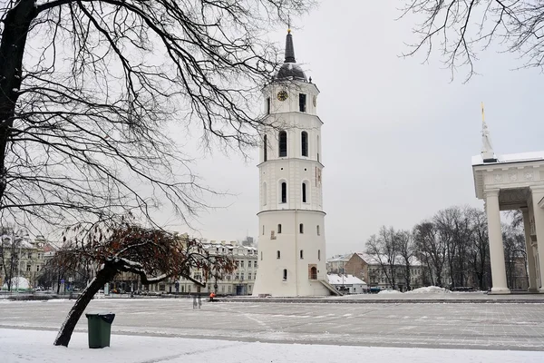 Vilnius katedrála je srdce Litevský kapitálu — Stock fotografie