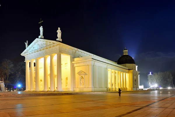 Vilna catedral lugar en invierno por la noche —  Fotos de Stock