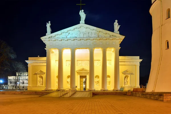 Vilna catedral lugar en invierno por la noche —  Fotos de Stock