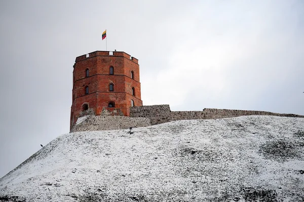 Torre del castillo de Gediminas, símbolo de la ciudad de Vilna —  Fotos de Stock