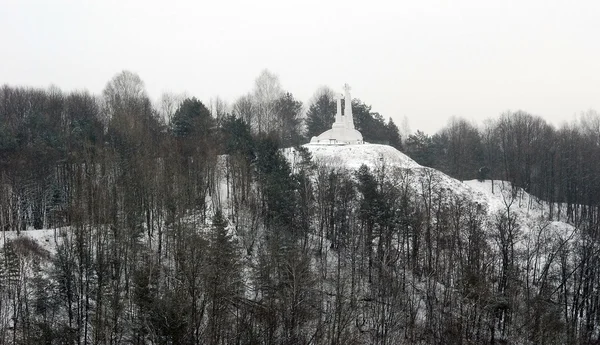 Вільнюс зимових Панорама від замку вежі Гедиміна до трьох croses Хілл — стокове фото
