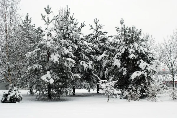 Verse sneeuw te dekken, in de wintertijd in Vilnius stad — Stockfoto