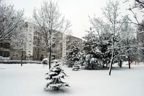 Winter snowfall in capital of Lithuania Vilnius city Pasilaiciai district — Stock Photo, Image