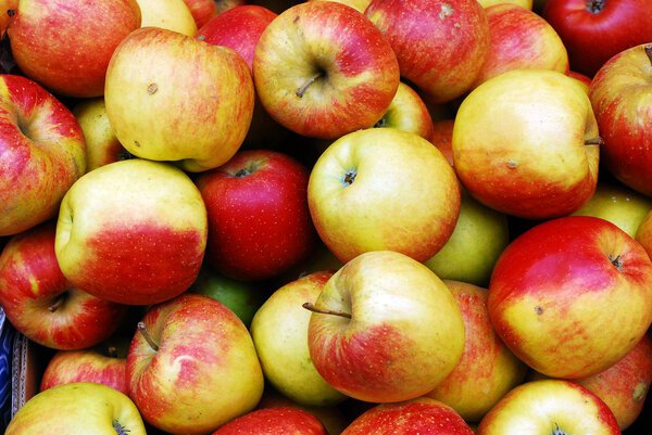 Fresh red ripe apples background