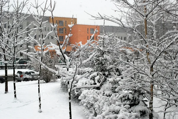 Winter snowfall in capital of Lithuania Vilnius city Pasilaiciai district — Stock Photo, Image