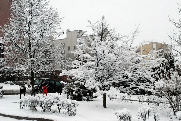 Winter snowfall in capital of Lithuania Vilnius city Pasilaiciai district — Stock Photo, Image