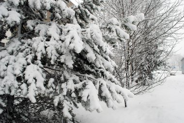 Vilnius şehir kış zamanında taze kar örtüsü
