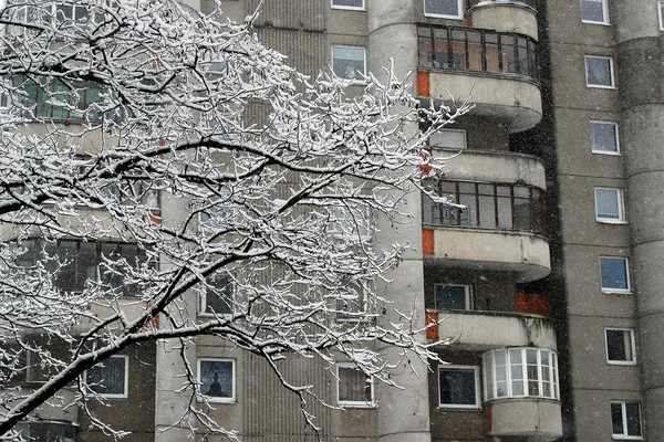 Zimní sněžení v hlavním městě Litvy Vilnius město Seskine okresu — Stock fotografie