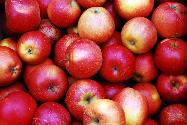 Fresh red ripe apples background