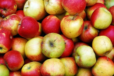 Vilnius şehirde yıllık geleneksel el sanatları Fuarı: Kaziukas Fuarı