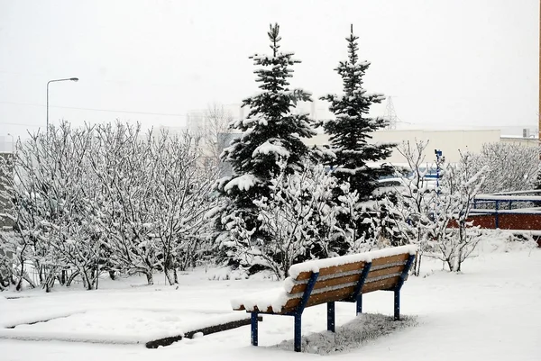Свежий снежный покров, зимой в Вильнюсе — стоковое фото