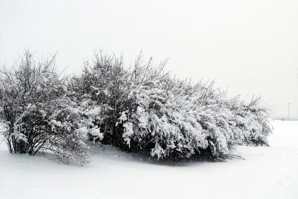 Couverture de neige fraîche, en hiver à Vilnius — Photo