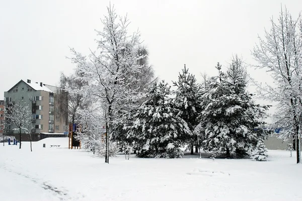 Winter snowfall in capital of Lithuania Vilnius city Pasilaiciai district — Stock Photo, Image