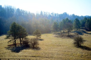 Bahar peyzaj alanı ağaçlarda ile