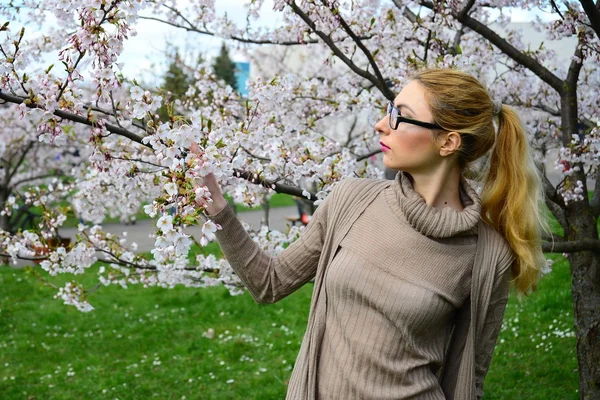 Jong meisje poseren in de tuin sakura — Stockfoto