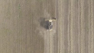 Mykolaiv, Ukranine - 06.29.2020. Tarlada çalışan hasatçı. Buğday tarlası hasat eden tarım makinesini birleştirin. Tarım. Hava görünümü