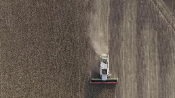 Mykolaiv Ukranine 2020 Harvester Working Field Combine Agriculture Machine Harvesting — Stock Video