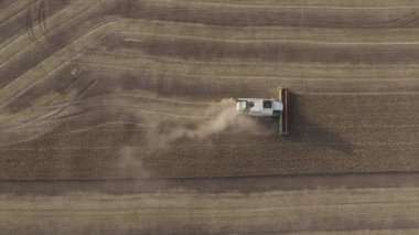 Mykolaiv, Ukranine - 06.29.2020. Tarlada çalışan hasatçı. Buğday tarlası hasat eden tarım makinesini birleştirin. Tarım. Hava görünümü