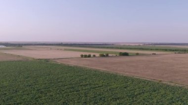 Engin buğday tarlasının üzerinde güzel gün batımında uçan hava.