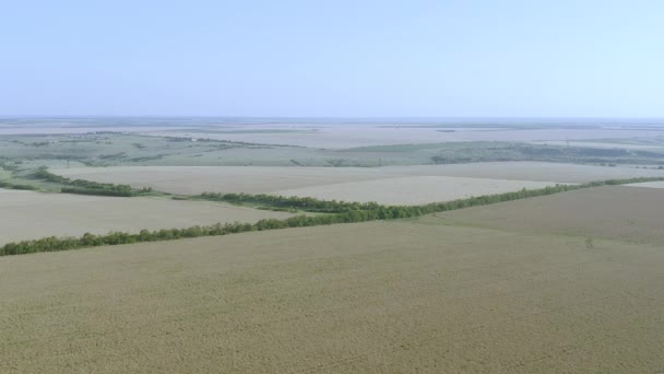 Letecká Příroda Krajina Krásná Pole Ukrajina — Stock video