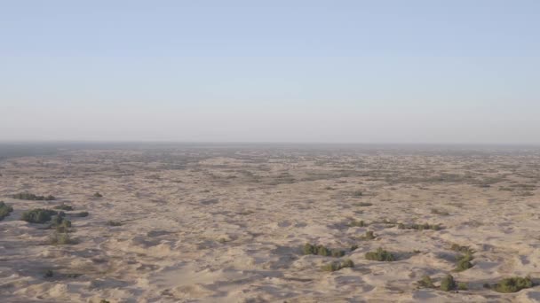 Desierto Atardecer Vuelo Sobre Desierto Reserva Arenas Oleshky Ucrania — Vídeos de Stock
