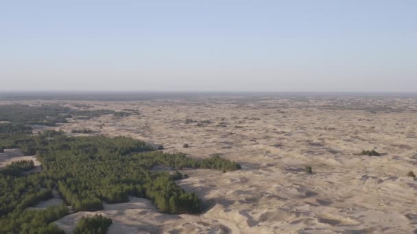 Woestijn Bij Zonsondergang Vlucht Woestijn Het Reservaat Oleshky Sands Oekraïne — Stockvideo