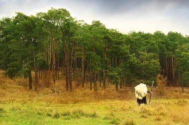 Bir mızrak ile eski savaşçı woods önce standları