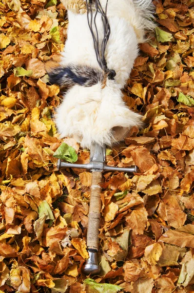 Epée sur le fond des feuilles — Photo