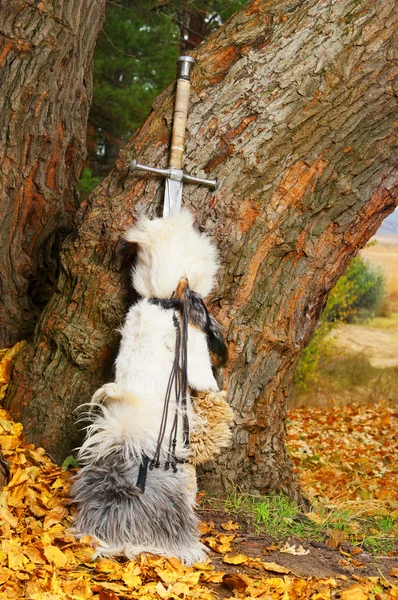 Miecz w pobliżu drzewa. — Zdjęcie stockowe