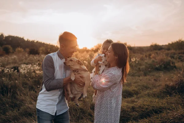 Mutlu Aile Babası Anne Kızı Köpeği Gün Batımında Doğada Yürüyor — Stok fotoğraf