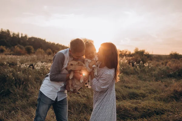 Mutlu Aile Babası Anne Kızı Köpeği Gün Batımında Doğada Yürüyor — Stok fotoğraf