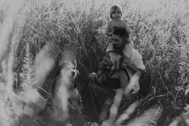 Oğlu ve köpeğiyle yaz tarlasında yürüyen genç ebeveynler. Aile zamanı, iyi eğlenceler..