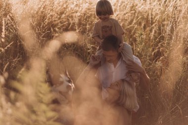 Oğlu ve köpeğiyle yaz tarlasında yürüyen genç ebeveynler. Aile zamanı, iyi eğlenceler..