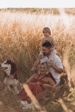 Oğlu ve köpeğiyle yaz tarlasında yürüyen genç ebeveynler. Aile zamanı, iyi eğlenceler..