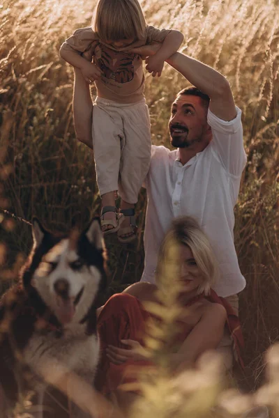 Unga Föräldrar Med Son Och Husky Hund Promenader Sommarfältet Familjetid — Stockfoto