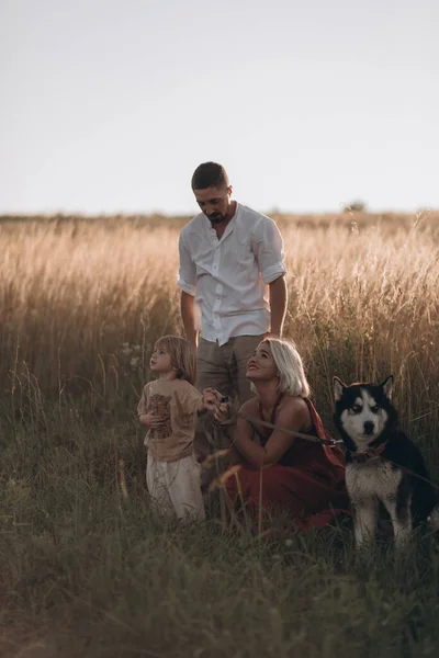 Padres Jóvenes Con Hijo Perro Husky Paseando Campo Verano Tiempo —  Fotos de Stock