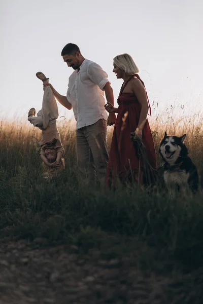 Jonge Ouders Met Zoon Husky Hond Wandelen Zomer Veld Familie — Stockfoto