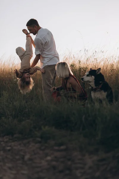 Unga Föräldrar Med Son Och Husky Hund Promenader Sommarfältet Familjetid — Stockfoto